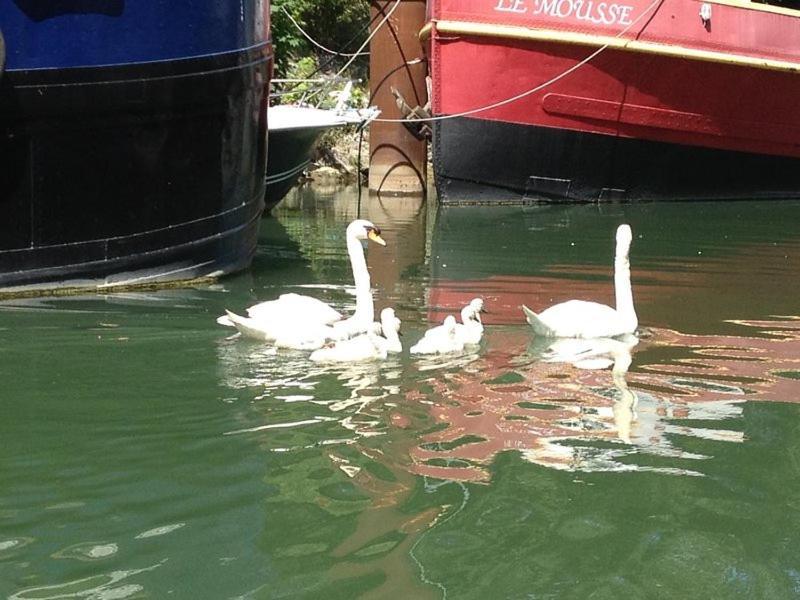 Hotel Boat For Guest Issy-les-Moulineaux Exterior foto
